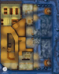 Garden, Snow, Night
