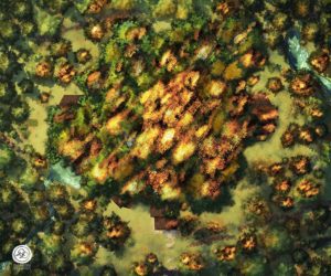 Fire, Day, Foliage