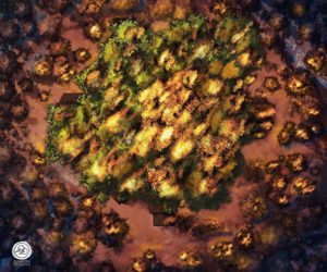 Fire, Night, Foliage