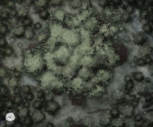 Fog, Foliage