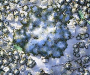 Snow Day, Foliage
