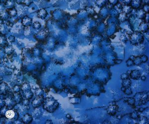 Snow Night, Foliage