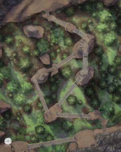 Forest, Day