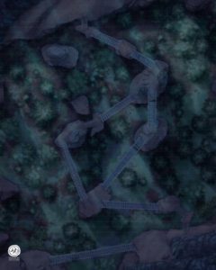 Forest, Night