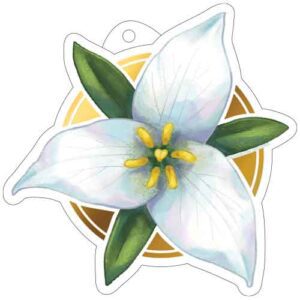 3"x3" stylized trillium sticker with mirror gold effect
