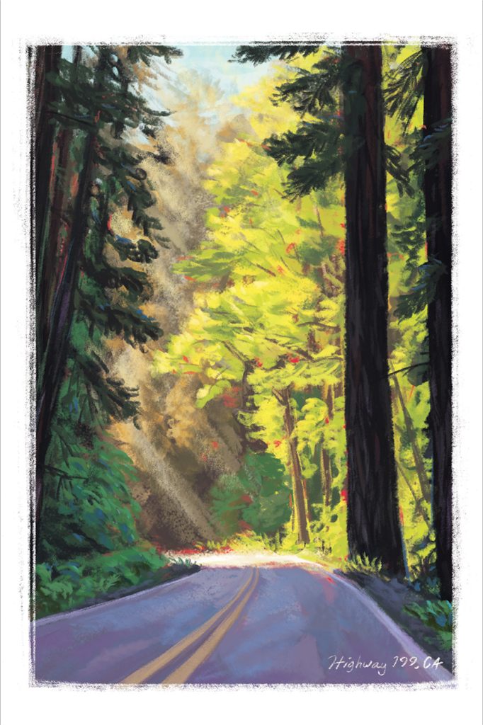 Highway 199 Redwood Sunset, 2025