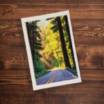 Postcard 4" x 6"