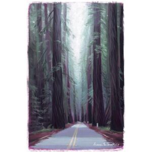 A digital painting of redwood trees on either side of a two-lane road at Avenue of the Giants. The trees disappear into the cold fog, and the shadows of the trees are highlighted in magenta and orange tones.